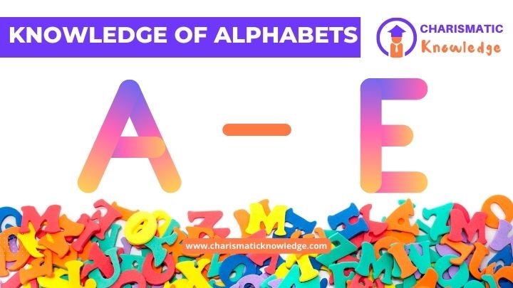  Knowledge of alphabets recognition A to E