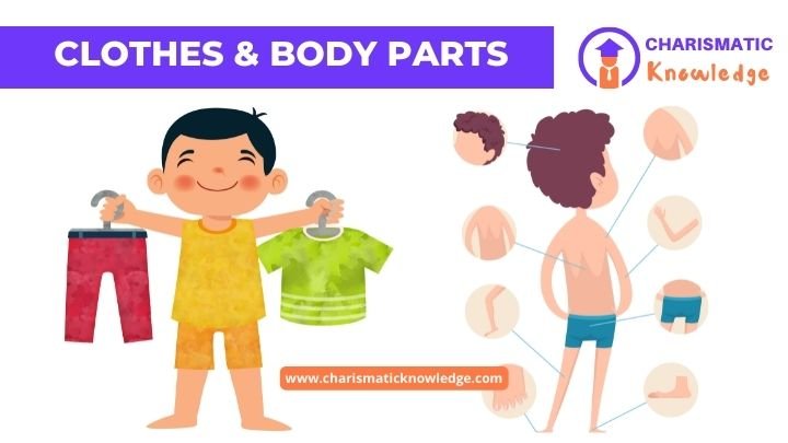  Clothes & Body parts Worksheets for kids