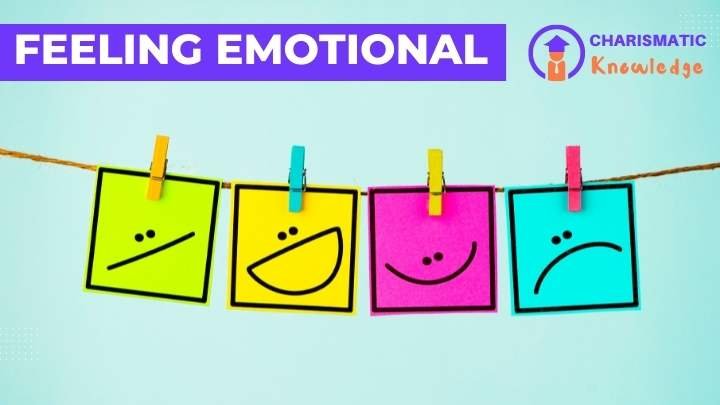  Feeling /Emotion Worksheet for kids