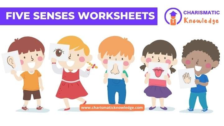  The Five Senses Worksheets for kids video
