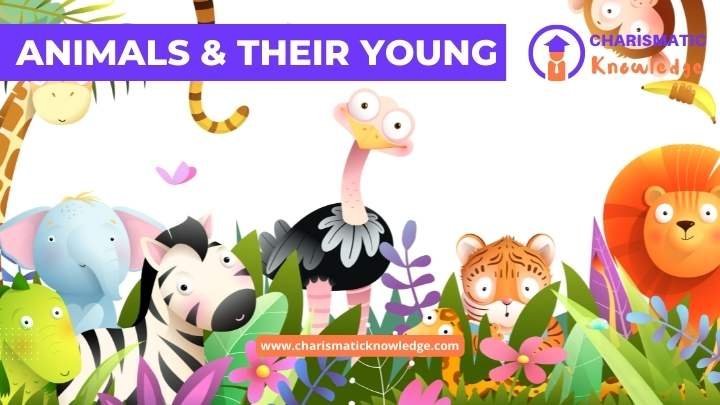  Animals and their young