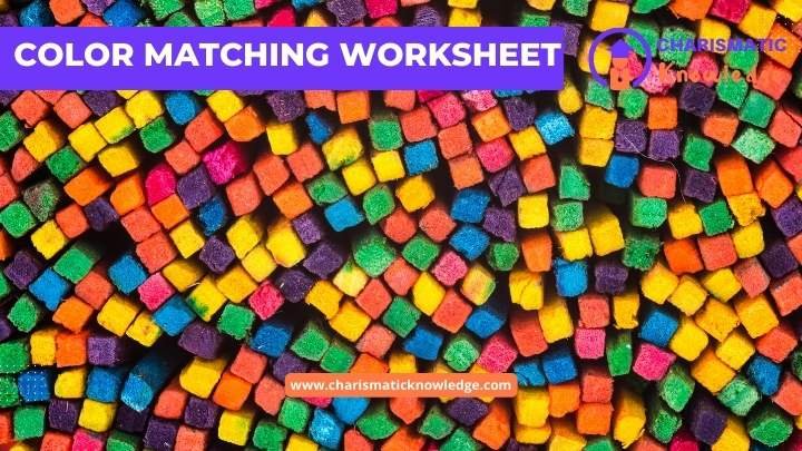  colour matching worksheets